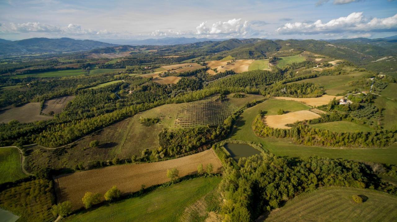 Agriturismo Il Sarale - Umbria Città di Castello Dış mekan fotoğraf