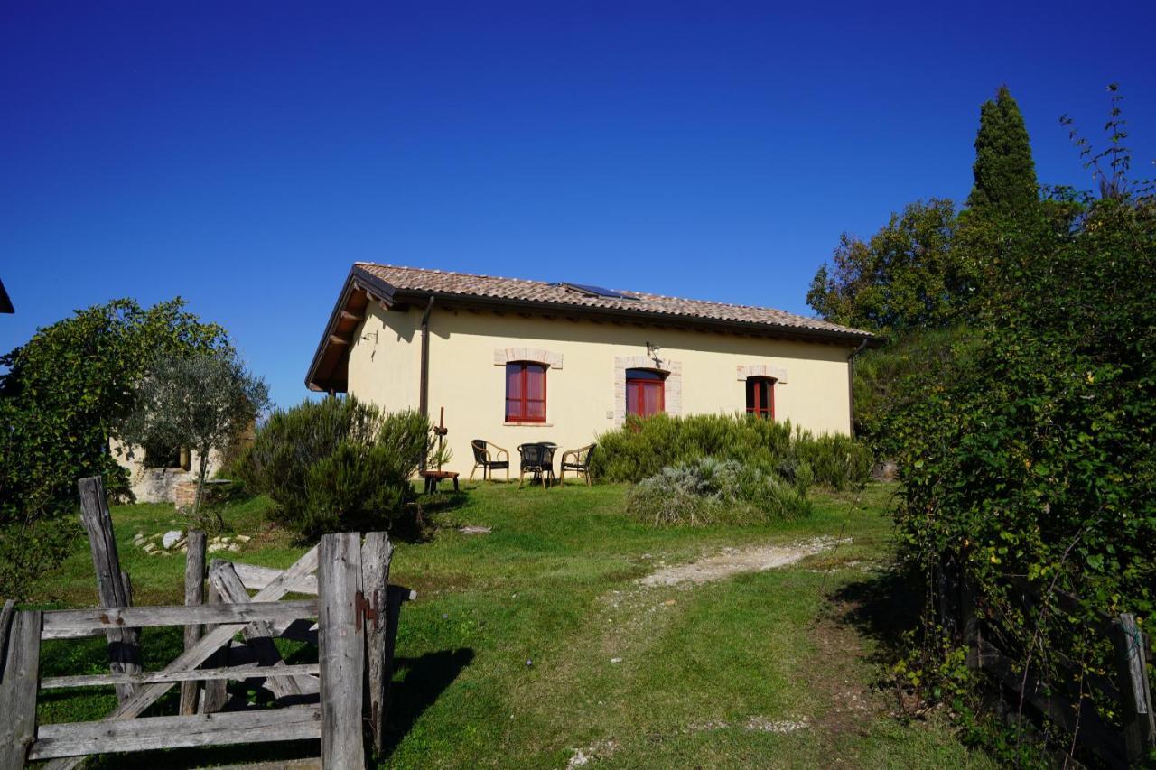 Agriturismo Il Sarale - Umbria Città di Castello Dış mekan fotoğraf