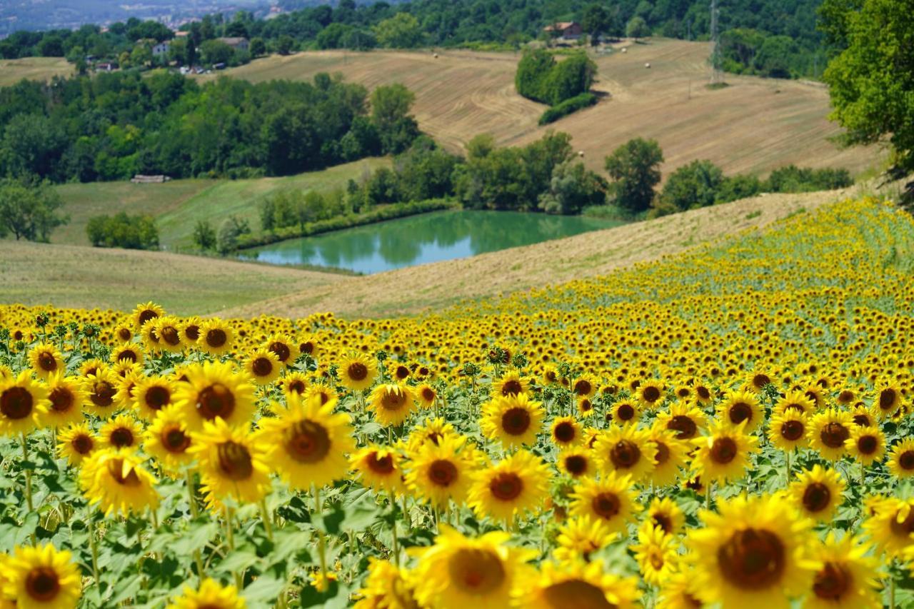 Agriturismo Il Sarale - Umbria Città di Castello Dış mekan fotoğraf