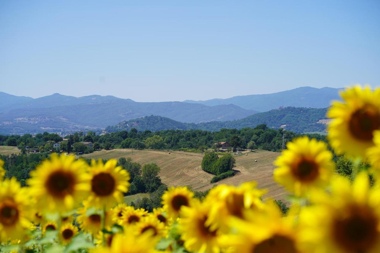 Agriturismo Il Sarale - Umbria Città di Castello Dış mekan fotoğraf